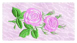 DSC700 506 PK 2 Satin Rose (Cameo)